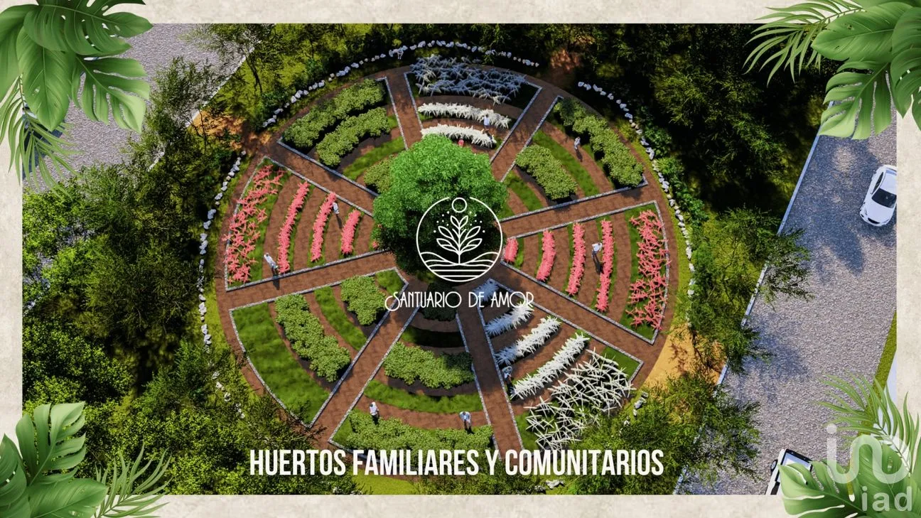Terreno en Venta en Nuevo Quintana Roo, Lázaro Cárdenas, Quintana Roo | NEX-262447 | iad México | Foto 7 de 11