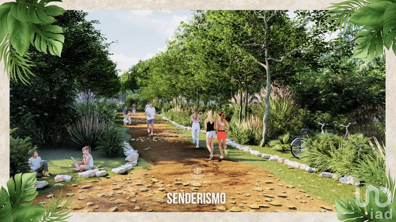 Terreno en Venta en Nuevo Quintana Roo, Lázaro Cárdenas, Quintana Roo | NEX-262447 | iad México | Foto 9 de 11