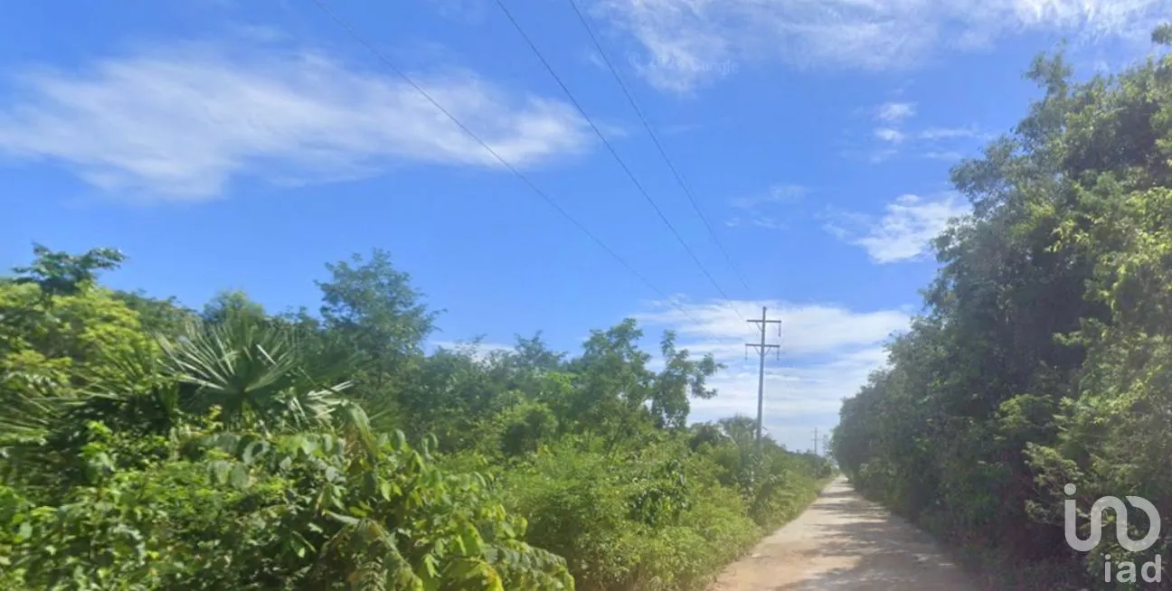 Terreno en Venta en Nuevo Quintana Roo, Lázaro Cárdenas, Quintana Roo | NEX-262447 | iad México | Foto 10 de 11