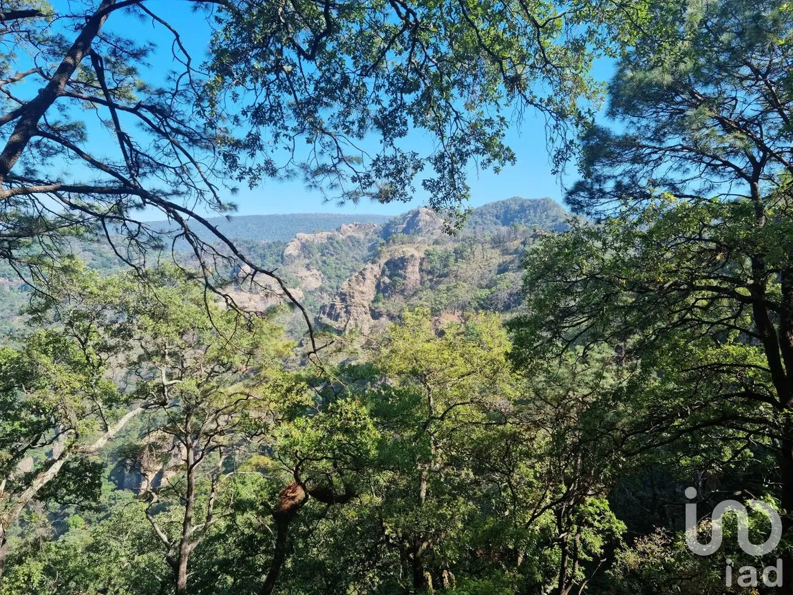 Terreno en Venta en Los Ocotes, Tepoztlán, Morelos | NEX-286623 | iad México | Foto 2 de 8