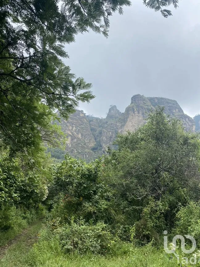 Terreno en Venta en Los Ocotes, Tepoztlán, Morelos | NEX-286623 | iad México | Foto 5 de 8