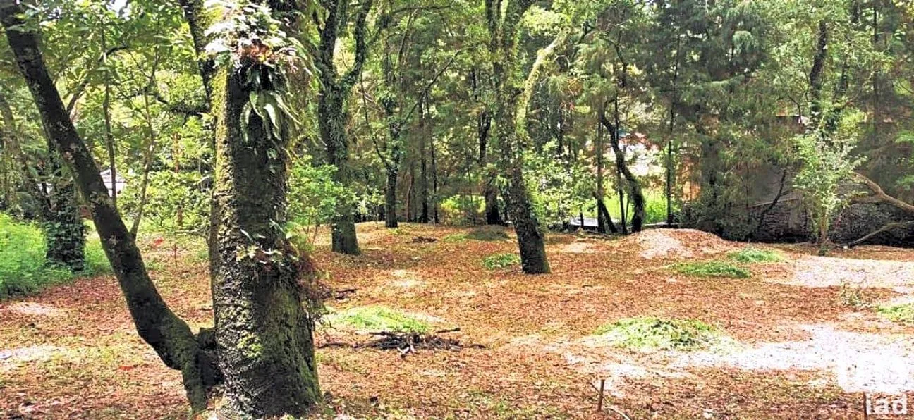 Terreno en Venta en Los Ocotes, Tepoztlán, Morelos | NEX-286623 | iad México | Foto 6 de 8