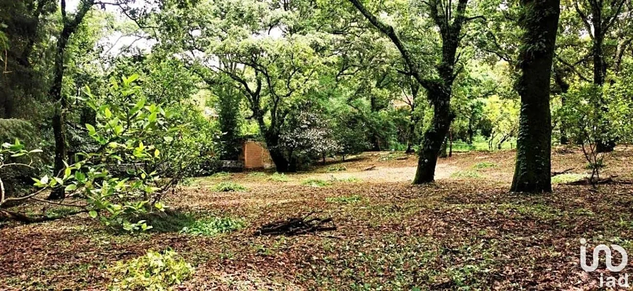 Terreno en Venta en Los Ocotes, Tepoztlán, Morelos | NEX-286623 | iad México | Foto 7 de 8