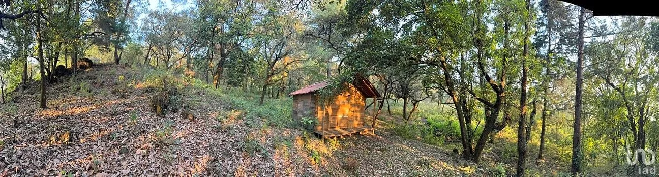 Terreno en Venta en Los Ocotes, Tepoztlán, Morelos | NEX-286623 | iad México | Foto 8 de 8