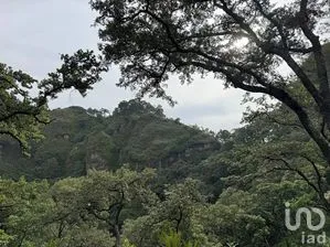 NEX-286623 - Terreno en Venta en Los Ocotes, CP 62520, Morelos.