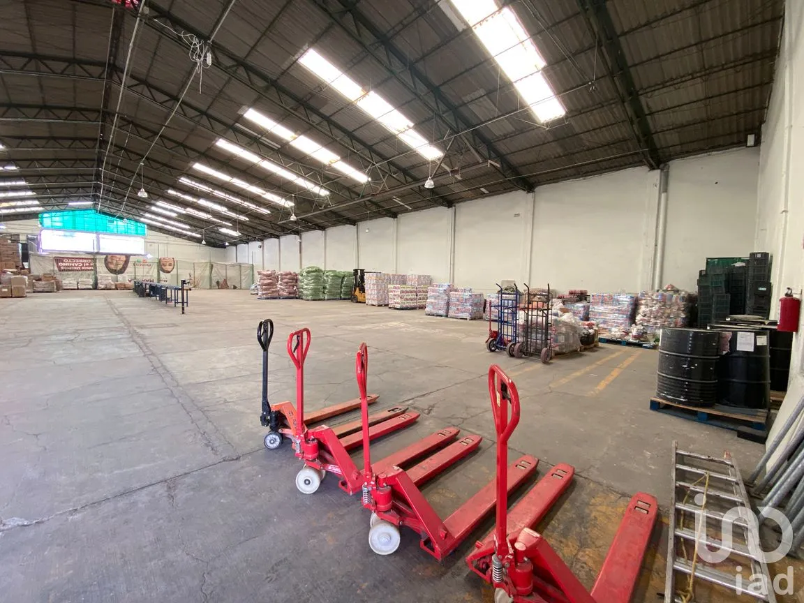 Bodega en Renta en Tecámac de Felipe Villanueva Centro, Tecámac, México | NEX-264995 | iad México | Foto 36 de 47