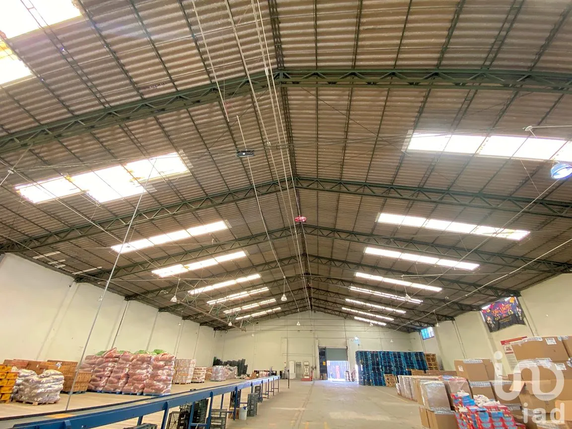 Bodega en Renta en Tecámac de Felipe Villanueva Centro, Tecámac, México | NEX-264995 | iad México | Foto 45 de 47