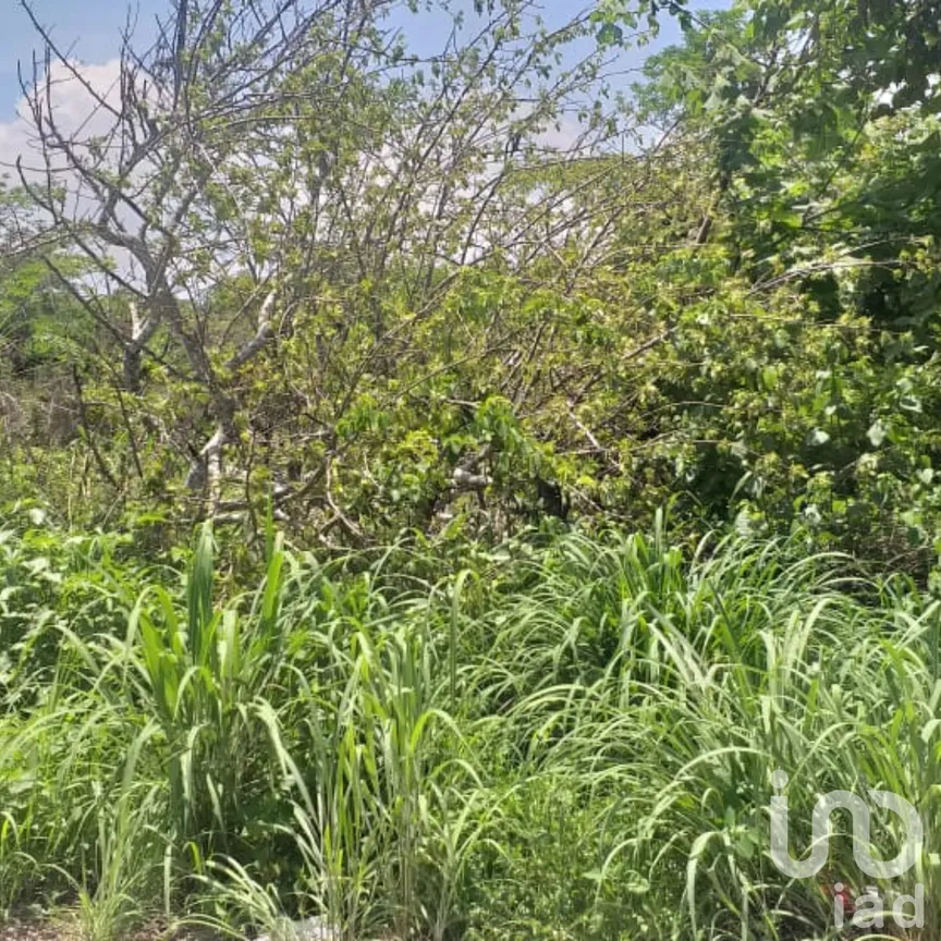 Terreno en Venta en El Jobo, Tuxtla Gutiérrez, Chiapas | NEX-159715 | iad México | Foto 2 de 3