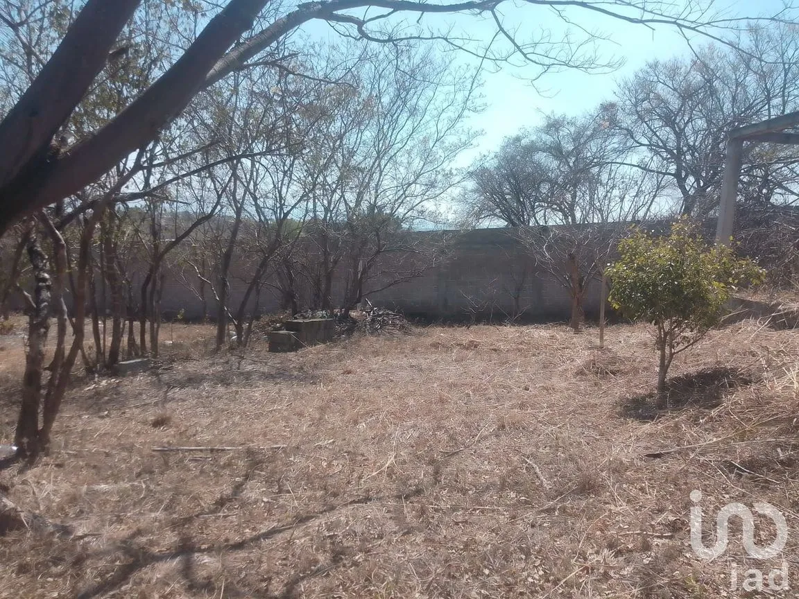 Terreno en Venta en Plan de Ayala Ampliación Norte, Tuxtla Gutiérrez, Chiapas | NEX-167507 | iad México | Foto 7 de 11