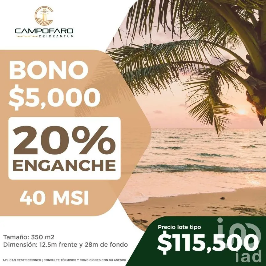 Terreno en Venta en Dzidzantún, Dzidzantún, Yucatán | NEX-174222 | iad México | Foto 3 de 3