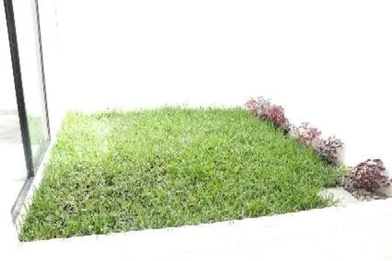 Casa en Renta en Plan de Ayala, Tuxtla Gutiérrez, Chiapas | NEX-175979 | iad México | Foto 10 de 19