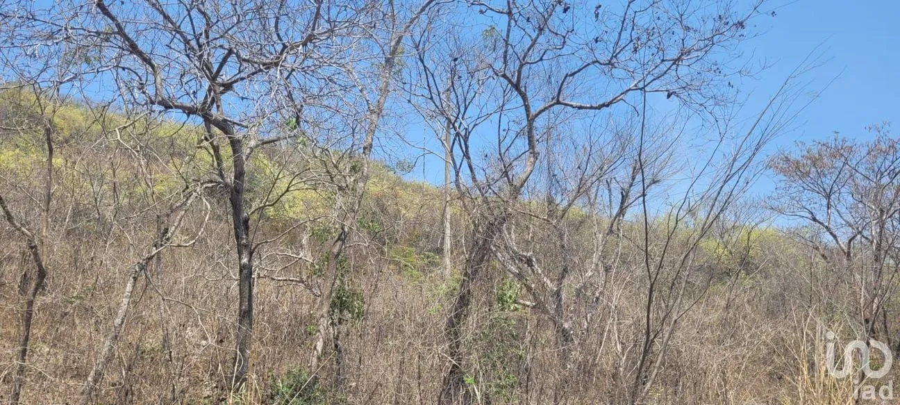 Terreno en Venta en Terán, Tuxtla Gutiérrez, Chiapas | NEX-197379 | iad México | Foto 3 de 5
