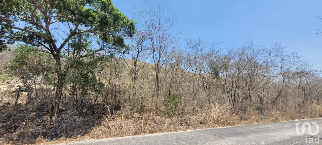 Terreno en Venta en Terán, Tuxtla Gutiérrez, Chiapas | NEX-197379 | iad México | Foto 5 de 5