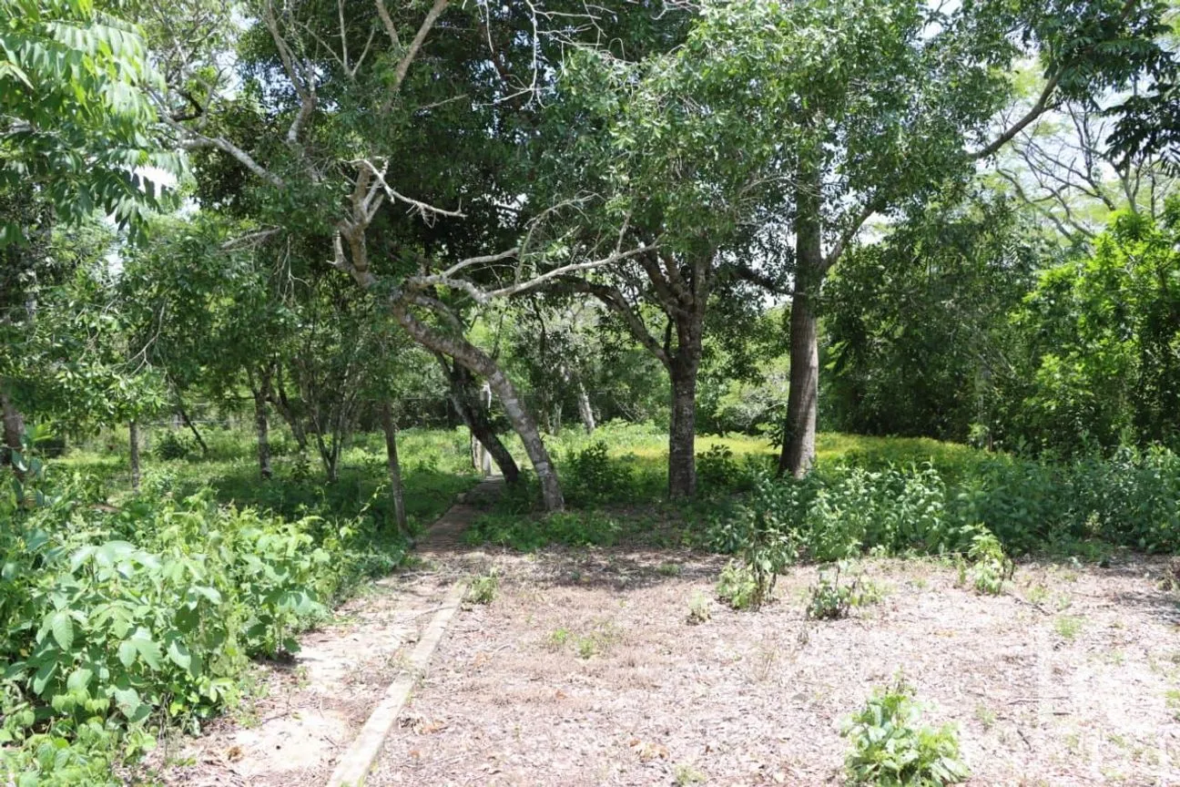 Terreno en Venta en Ocozocoautla de Espinosa Centro, Ocozocoautla de Espinosa, Chiapas | NEX-221326 | iad México | Foto 2 de 4