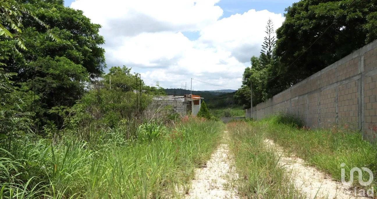 Terreno en Venta en Berriozabal Centro, Berriozábal, Chiapas | NEX-221583 | iad México | Foto 2 de 8