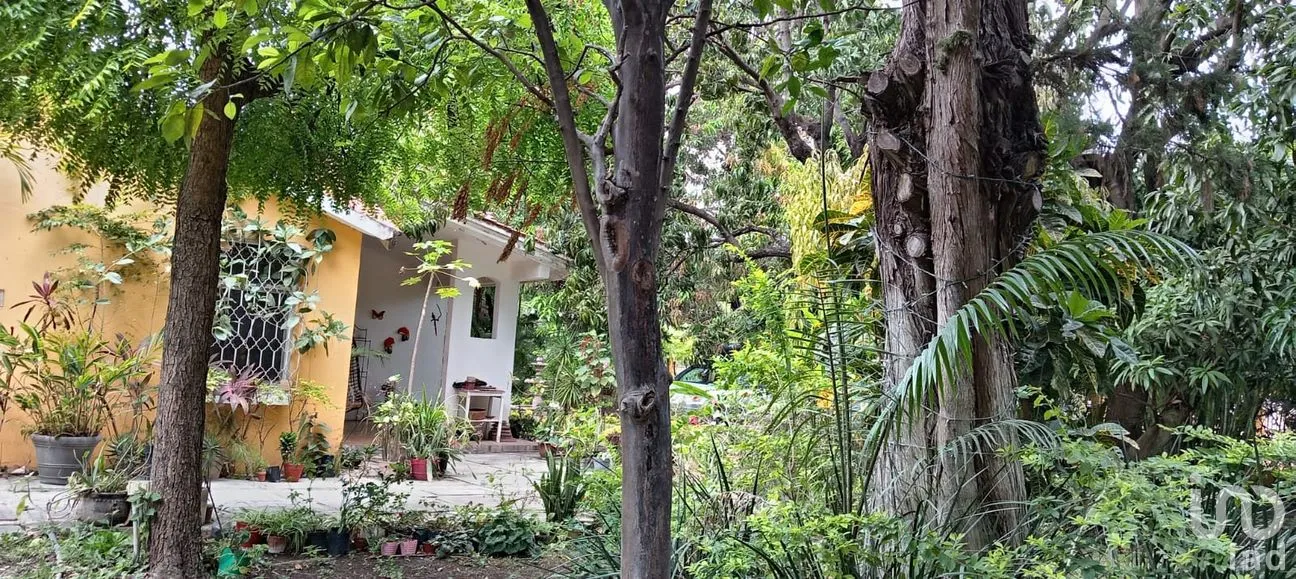 Casa en Venta en Plan de Ayala, Tuxtla Gutiérrez, Chiapas | NEX-294782 | iad México | Foto 4 de 8