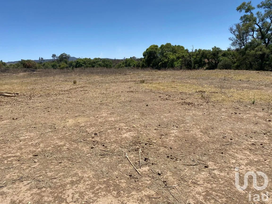 Terreno en Venta en Puente de la Paz, Cuautepec de Hinojosa, Hidalgo | NEX-250707 | iad México | Foto 2 de 8