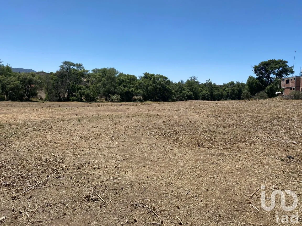 Terreno en Venta en Puente de la Paz, Cuautepec de Hinojosa, Hidalgo | NEX-250707 | iad México | Foto 3 de 8