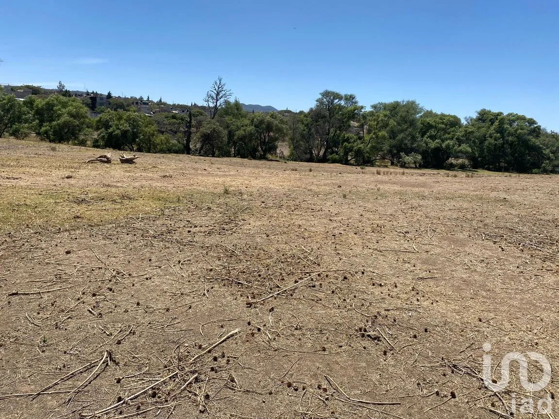 Terreno en Venta en Puente de la Paz, Cuautepec de Hinojosa, Hidalgo | NEX-250707 | iad México | Foto 7 de 8