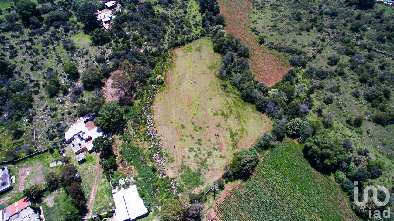 Terreno en Venta en Ejido de Jilotepec, Jilotepec, México | NEX-183697 | iad México | Foto 3 de 9