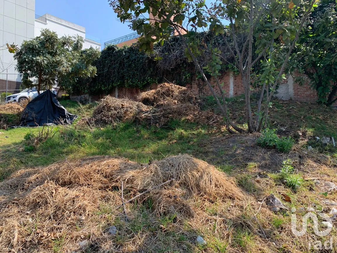 Terreno en Venta en Las Águilas, Álvaro Obregón, Ciudad de México | NEX-194770 | iad México | Foto 6 de 9