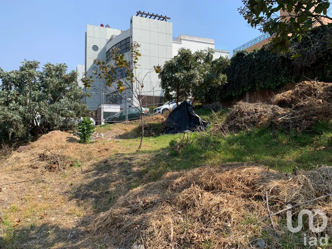 Terreno en Venta en Las Águilas, Álvaro Obregón, Ciudad de México | NEX-194770 | iad México | Foto 7 de 9
