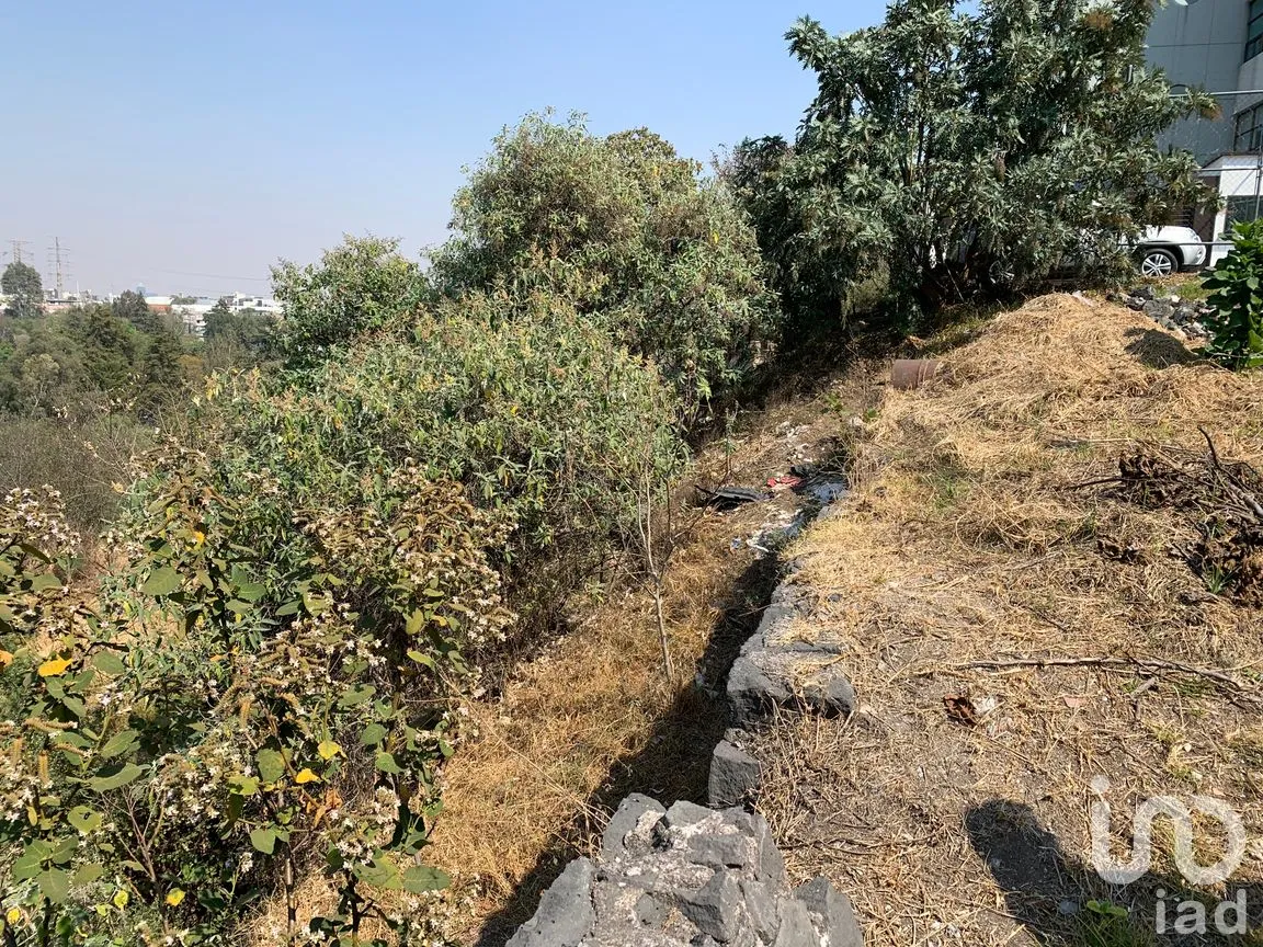 Terreno en Venta en Las Águilas, Álvaro Obregón, Ciudad de México | NEX-194770 | iad México | Foto 8 de 9
