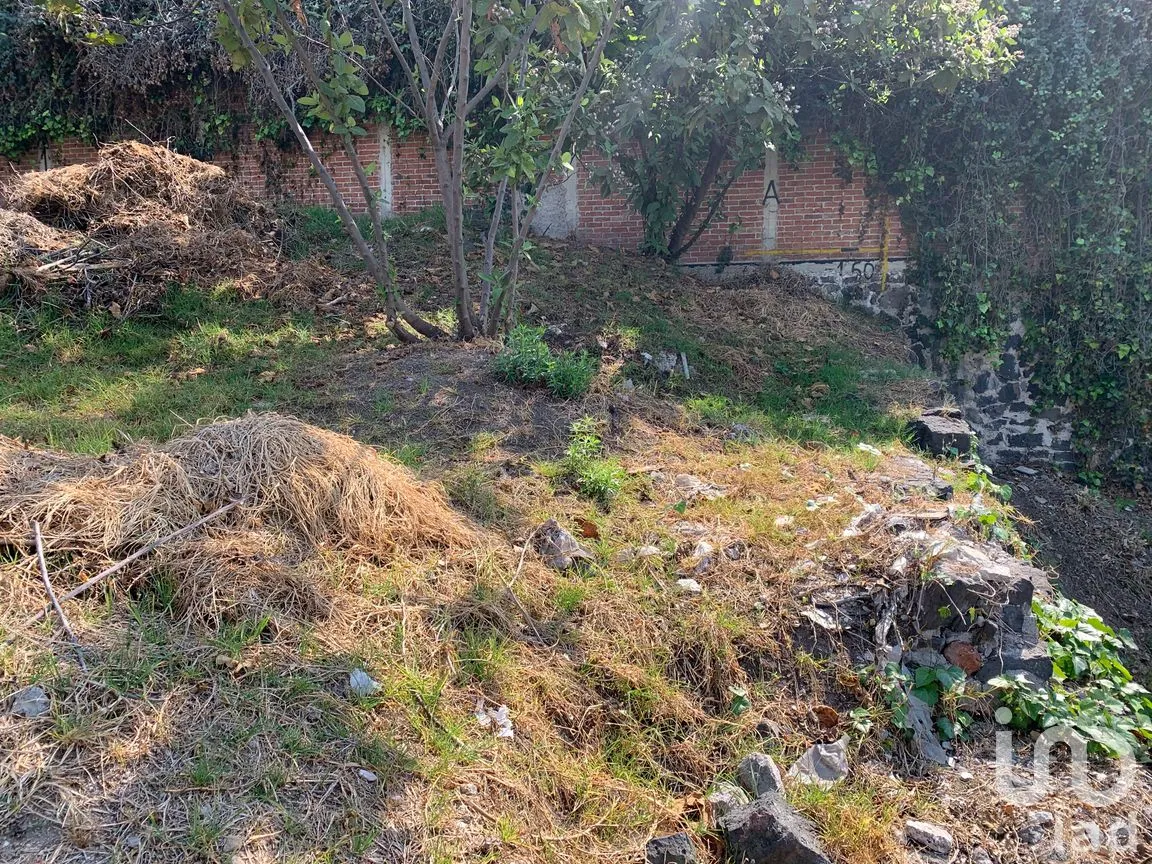 Terreno en Venta en Las Águilas, Álvaro Obregón, Ciudad de México | NEX-194770 | iad México | Foto 1 de 9