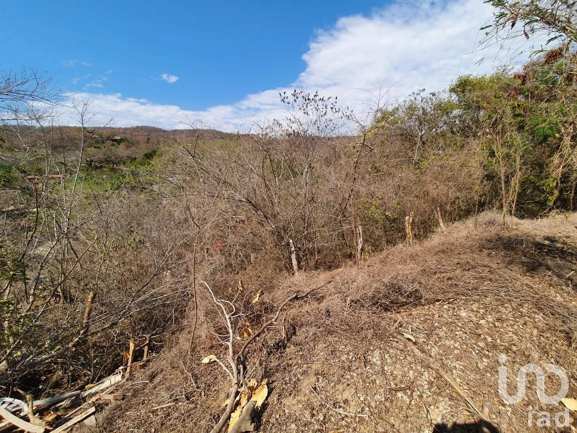 Terreno en Venta en Agostadero, Santa María Tonameca, Oaxaca