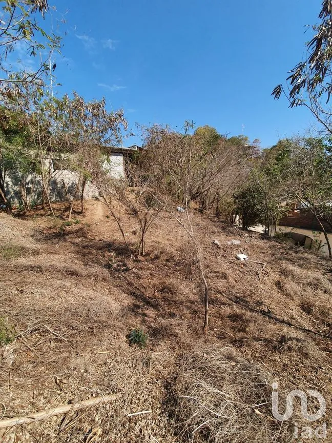 Terreno en Venta en Agostadero, Santa María Tonameca, Oaxaca | NEX-196644 | iad México | Foto 3 de 5