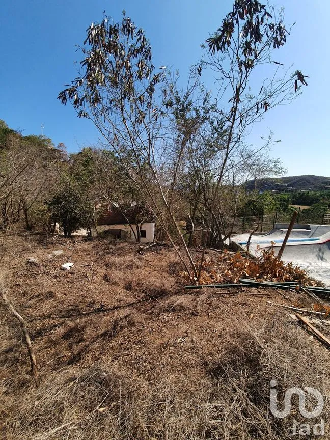 Terreno en Venta en Agostadero, Santa María Tonameca, Oaxaca | NEX-196644 | iad México | Foto 4 de 5