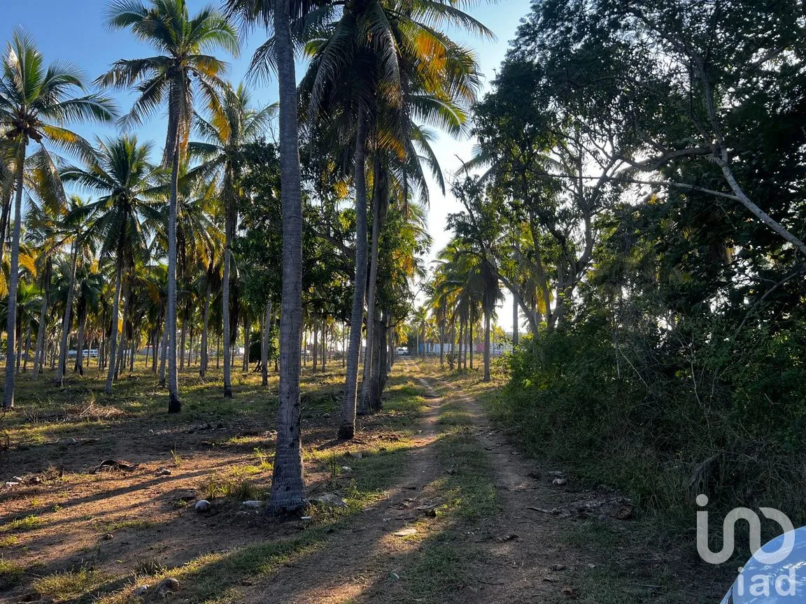 Terreno en Venta en Playa Blanca, Zihuatanejo de Azueta, Guerrero | NEX-252374 | iad México | Foto 10 de 11