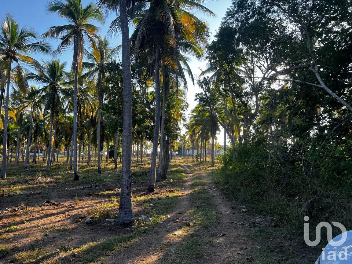 Terreno en Venta en Playa Blanca, Zihuatanejo de Azueta, Guerrero | NEX-252448 | iad México | Foto 9 de 9