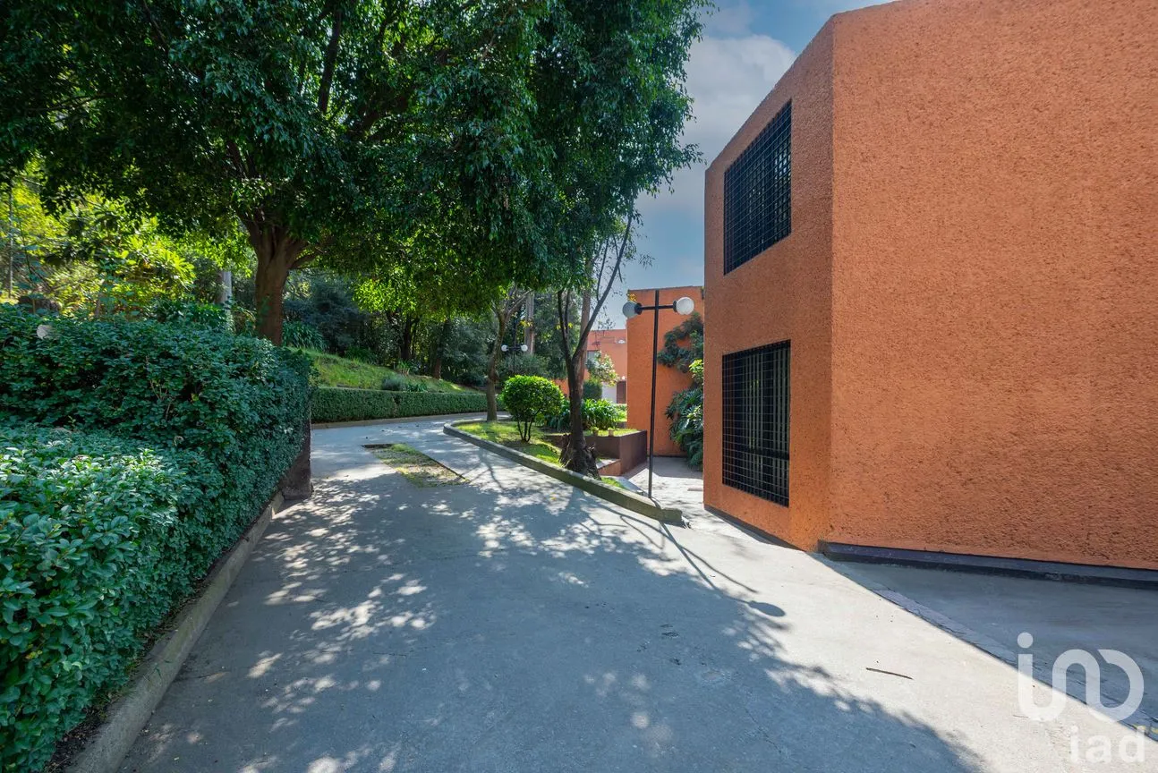 Casa en Venta en Lomas de San Ángel Inn, Álvaro Obregón, Ciudad de México | NEX-263798 | iad México | Foto 29 de 29