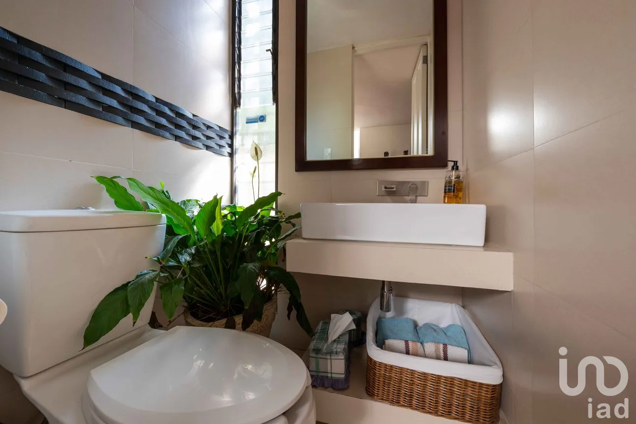 Casa en Venta en Lomas de San Ángel Inn, Álvaro Obregón, Ciudad de México | NEX-263798 | iad México | Foto 8 de 29