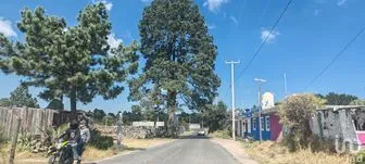 NEX-240841 - Terreno en Venta en La Joya, CP 43795, Hidalgo.