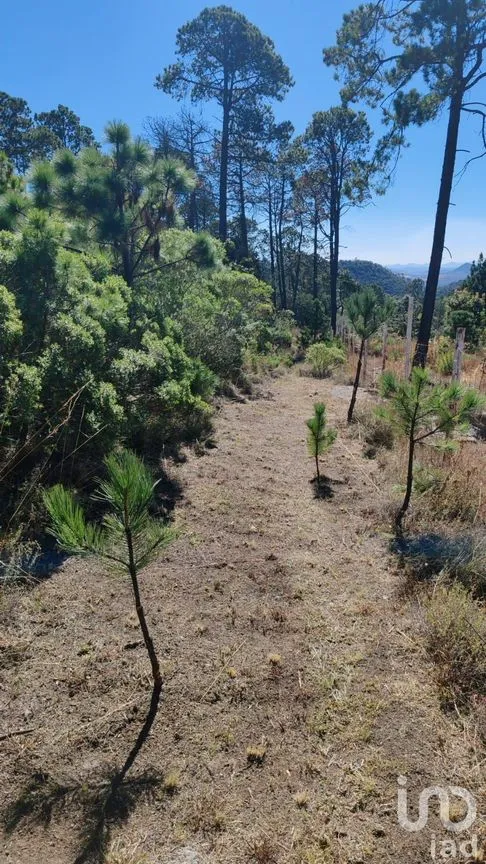 Terreno en Venta en La Joya, Singuilucan, Hidalgo | NEX-241361 | iad México | Foto 5 de 6