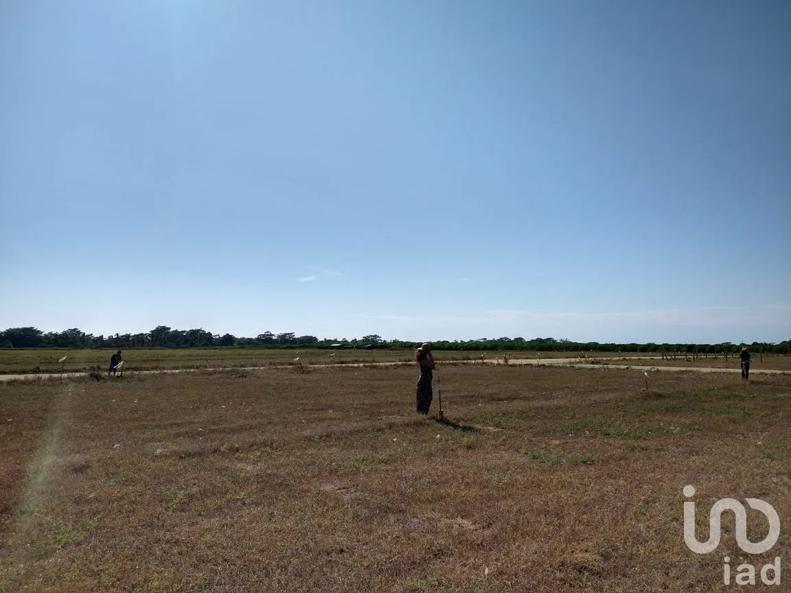 Terreno en Venta en Santa María Colotepec, Santa María Colotepec, Oaxaca | NEX-251768 | iad México | Foto 6 de 7