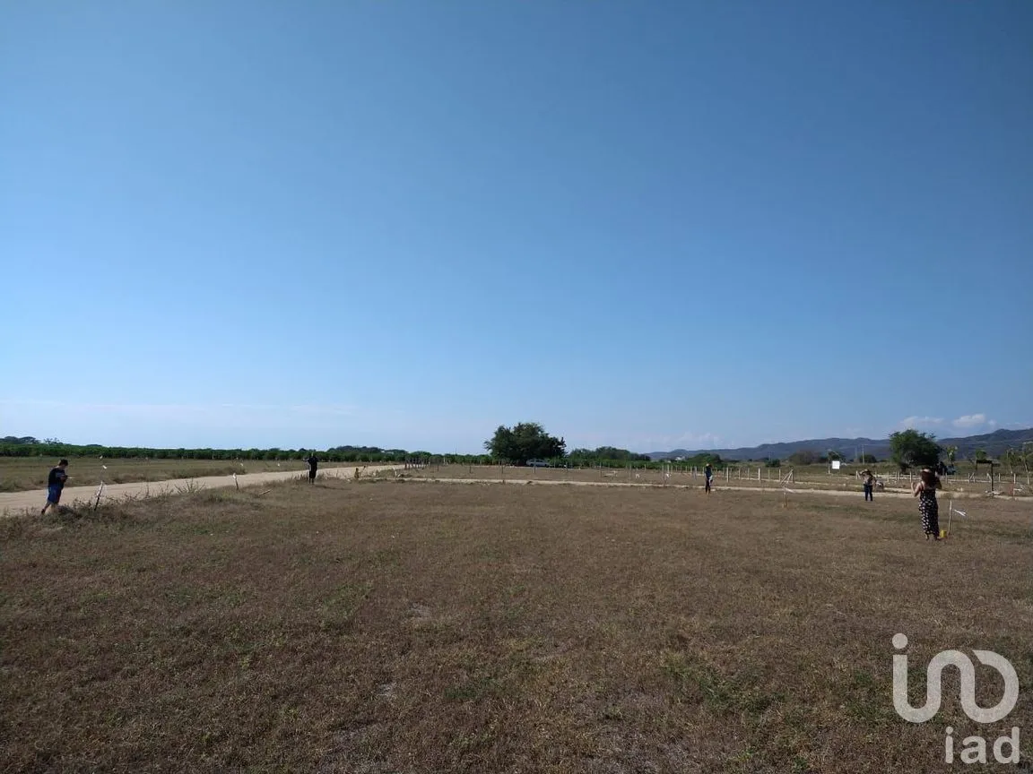 Terreno en Venta en Santa María Colotepec, Santa María Colotepec, Oaxaca | NEX-251768 | iad México | Foto 7 de 7