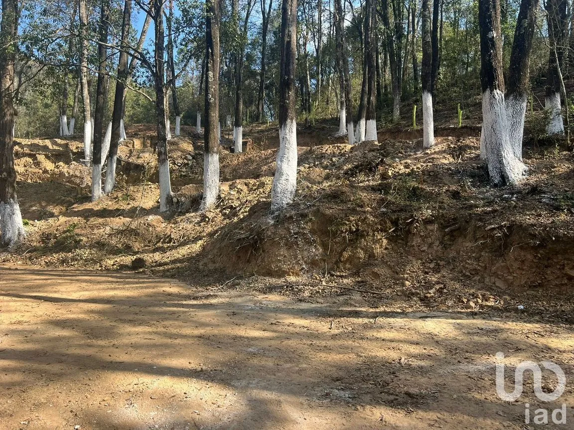 Terreno en Venta en Omitlán de Juárez Centro, Omitlán de Juárez, Hidalgo | NEX-256361 | iad México | Foto 2 de 10