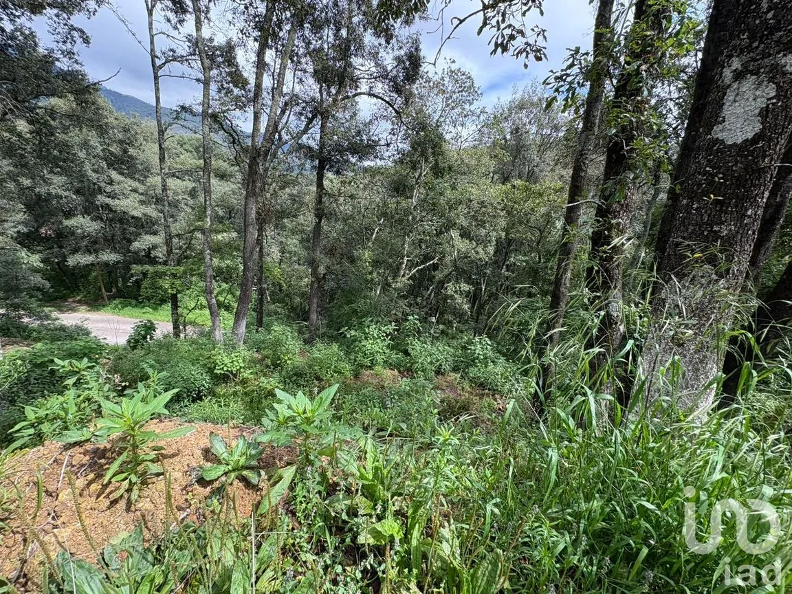 Terreno en Venta en Omitlán de Juárez Centro, Omitlán de Juárez, Hidalgo | NEX-256361 | iad México | Foto 10 de 10