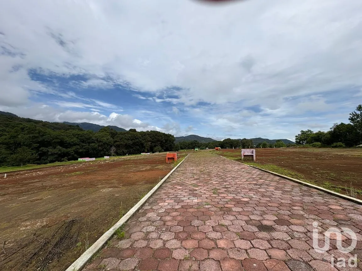 Terreno en Venta en Morelos, Omitlán de Juárez, Hidalgo | NEX-256366 | iad México | Foto 7 de 13
