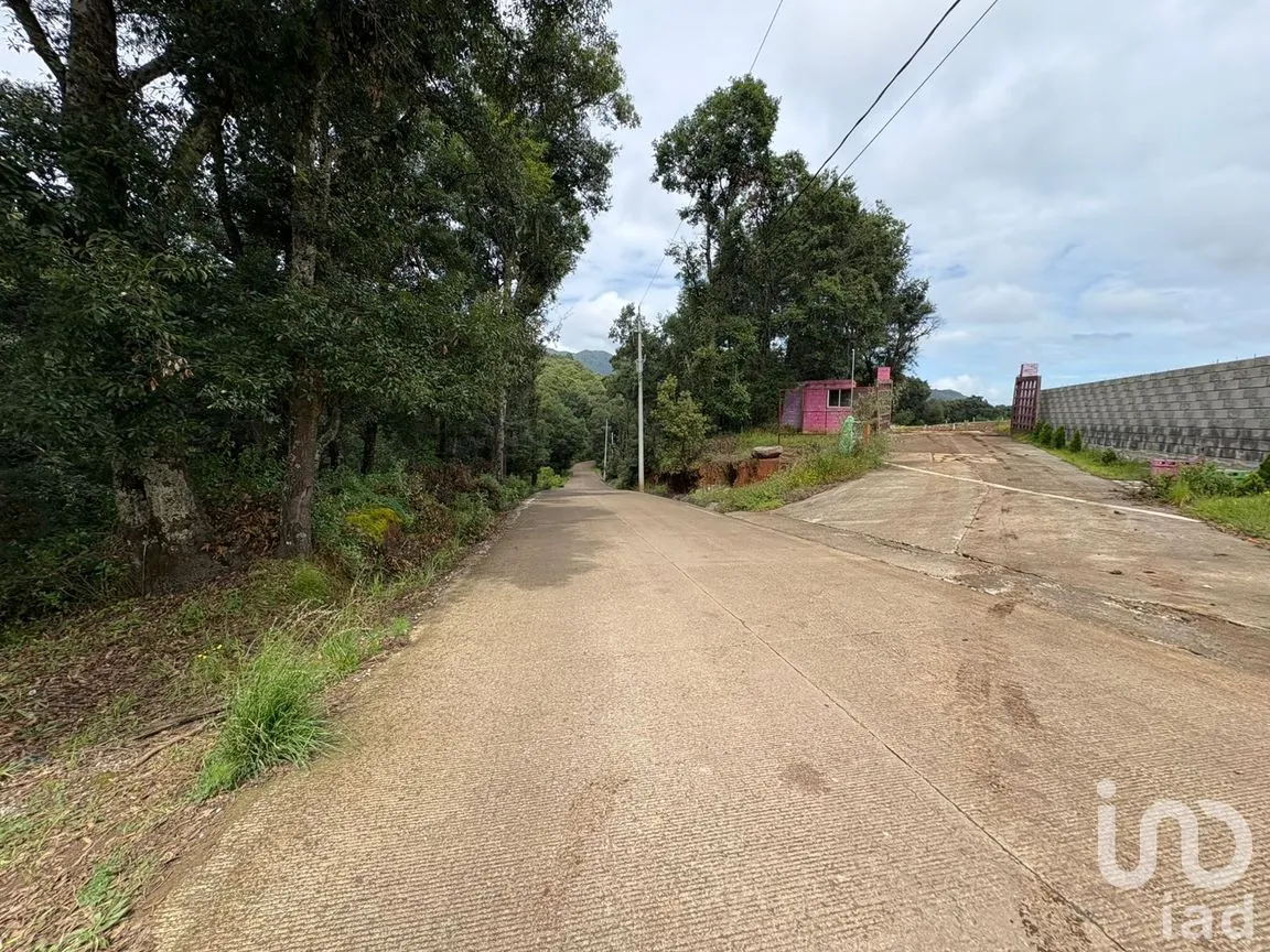 Terreno en Venta en Morelos, Omitlán de Juárez, Hidalgo | NEX-256366 | iad México | Foto 2 de 13