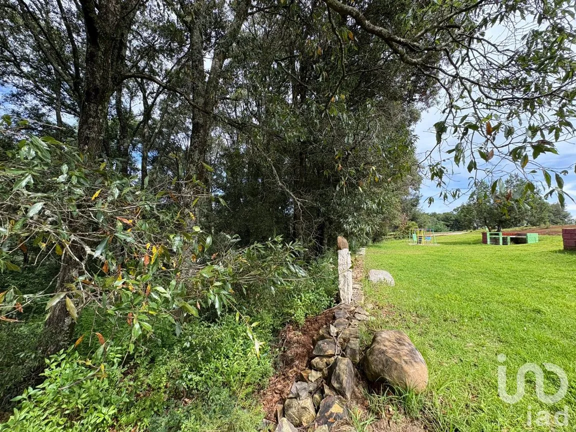 Terreno en Venta en Morelos, Omitlán de Juárez, Hidalgo | NEX-256366 | iad México | Foto 11 de 13