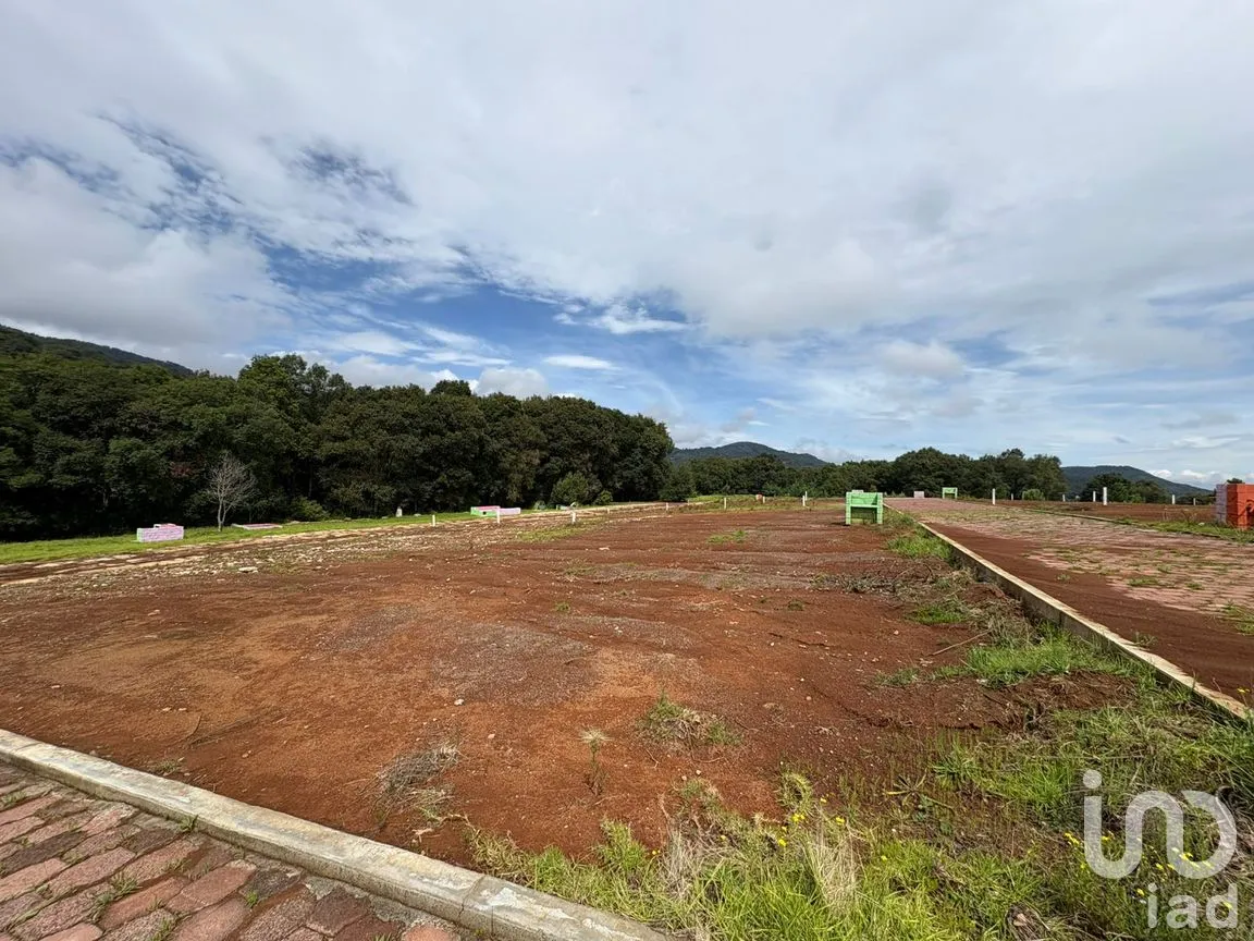 Terreno en Venta en Morelos, Omitlán de Juárez, Hidalgo | NEX-256366 | iad México | Foto 12 de 13