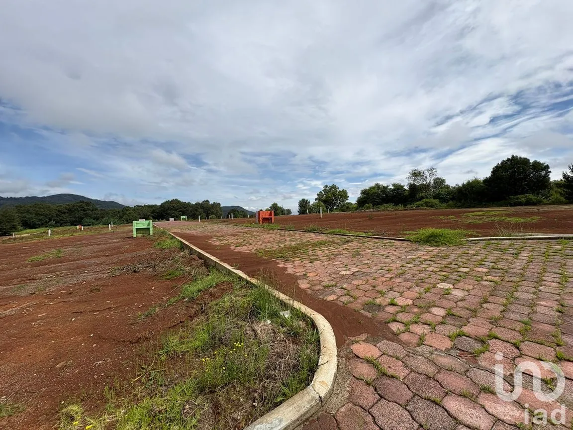 Terreno en Venta en Morelos, Omitlán de Juárez, Hidalgo | NEX-256366 | iad México | Foto 13 de 13