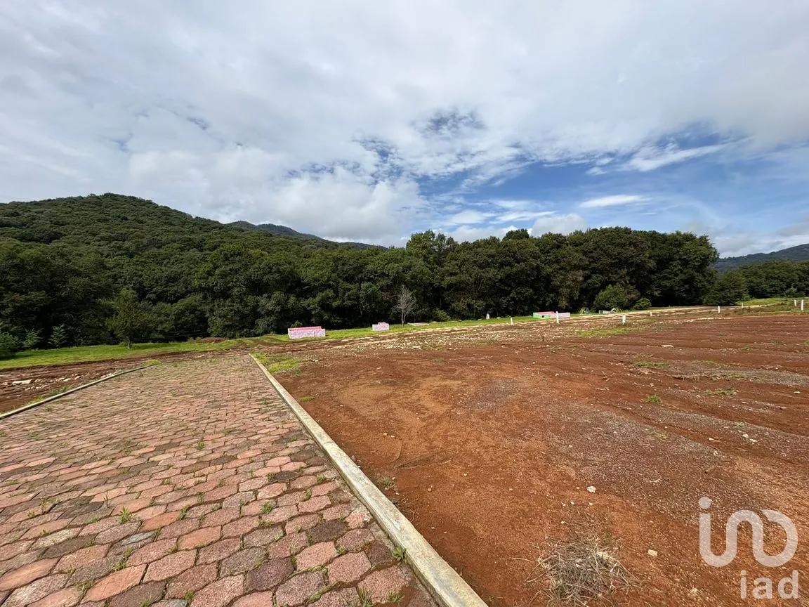 Terreno en Venta en Morelos, Omitlán de Juárez, Hidalgo | NEX-256366 | iad México | Foto 3 de 13