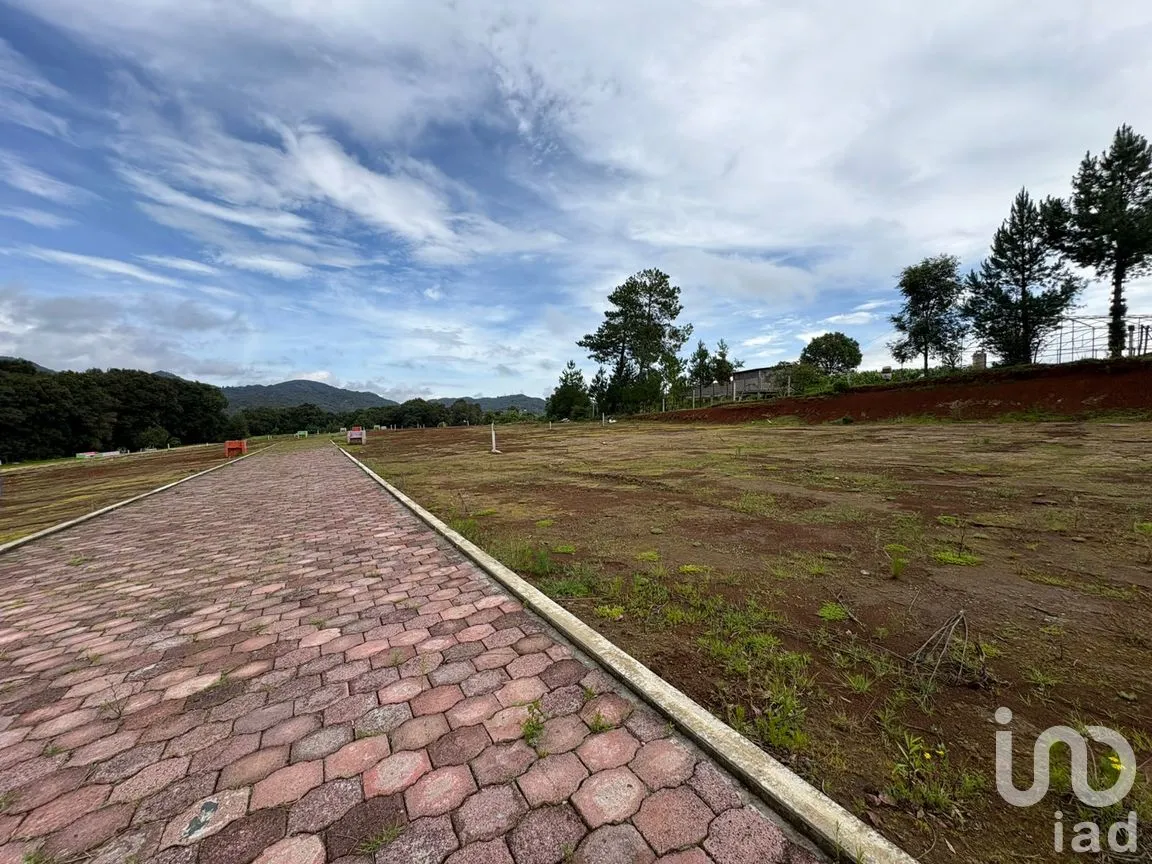 Terreno en Venta en Morelos, Omitlán de Juárez, Hidalgo | NEX-256366 | iad México | Foto 4 de 13