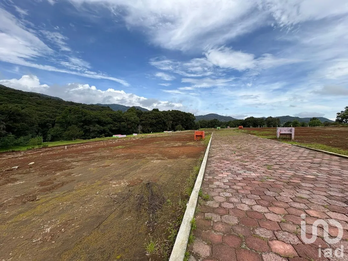 Terreno en Venta en Morelos, Omitlán de Juárez, Hidalgo | NEX-256366 | iad México | Foto 5 de 13