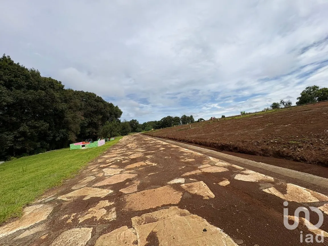 Terreno en Venta en Morelos, Omitlán de Juárez, Hidalgo | NEX-256366 | iad México | Foto 6 de 13